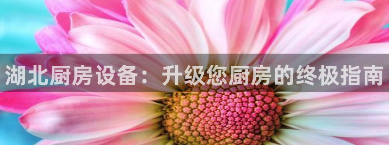 尊龙凯时防屏蔽网址：湖北厨房设备：升级您厨房的终极指南