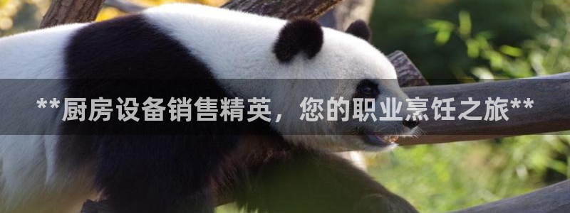 AG尊龙凯时注册：**厨房设备销售精英，您的职业烹饪之旅**