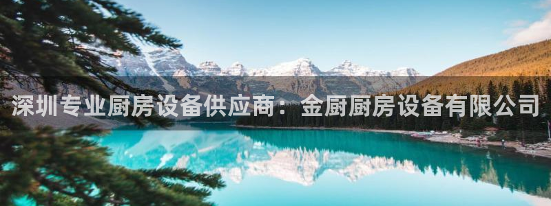 尊龙凯时平台还是万博好：深圳专业厨房设备供应商：金厨厨房设备