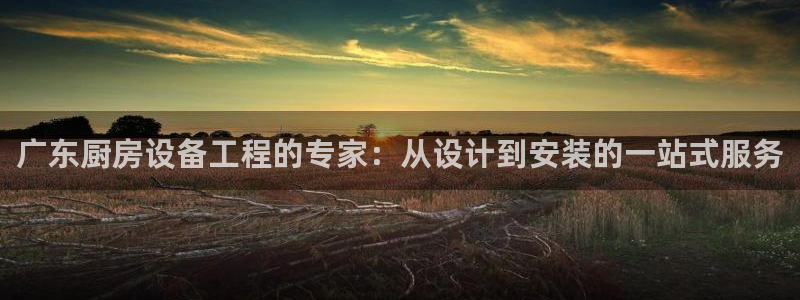 尊龙凯时品牌介绍：广东厨房设备工程的专家：从设计到安装的一站