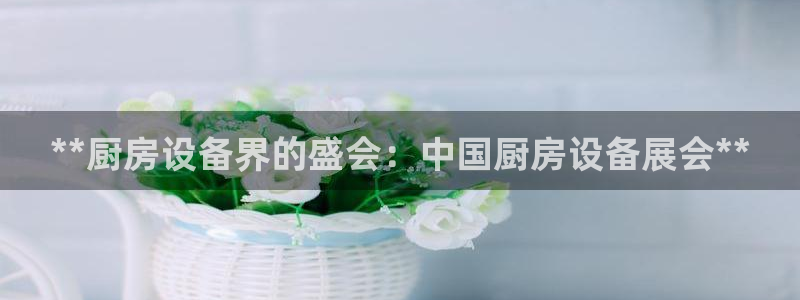 尊龙凯时一人生就是博官网：**厨房设备界的盛会：中国厨房设备
