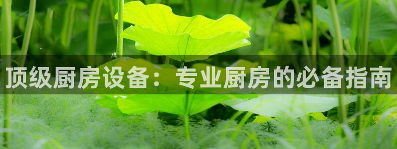 尊龙凯时网站不让提款：顶级厨房设备：专业厨房的必备指南