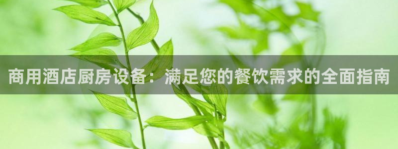尊龙体育正规么：商用酒店厨房设备：满足您的餐饮需求的全面指南