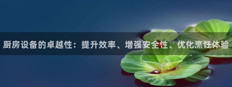 尊龙凯时取款一直支付中：厨房设备的卓越性：提升效率、增强安全