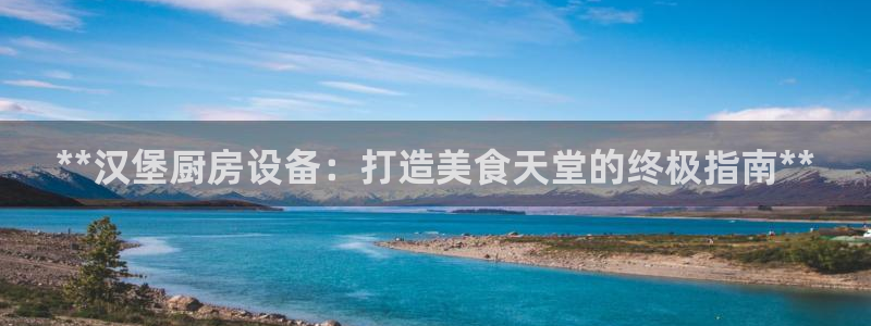 尊龙凯时贴吧：**汉堡厨房设备：打造美食天堂的终极指南**