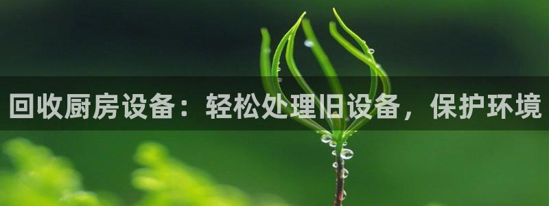 尊龙凯时城娱乐：回收厨房设备：轻松处理旧设备，保护环境