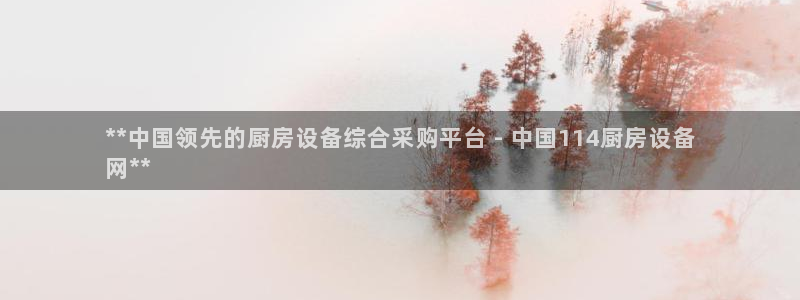 z6com尊龙凯时：**中国领先的厨房设备综合采购平台 - 