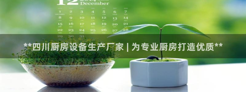尊龙版末代皇帝：**四川厨房设备生产厂家 | 为专业厨房打造
