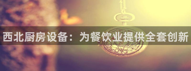 尊龙官网手：西北厨房设备