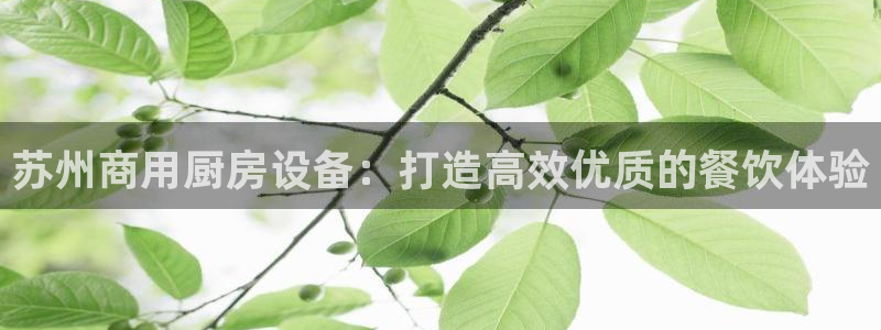 凯时a88：苏州商用厨房设备：打造高效优质的餐饮体验
