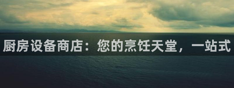 d88尊龙手机客户端下载：厨房设备商店：您的烹饪天堂，一站式