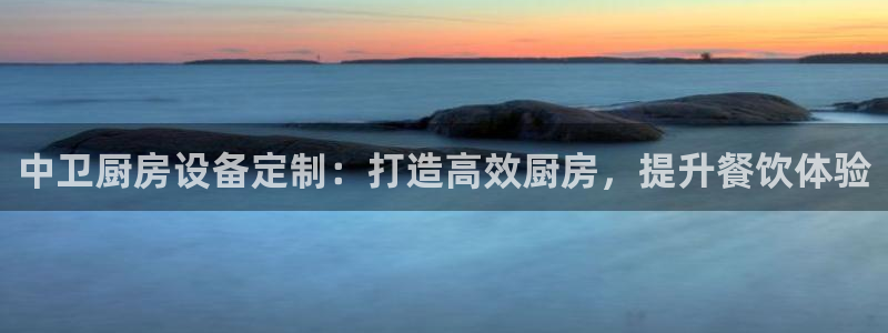 尊龙凯时ag旗舰厅试玩：中卫厨房设备定制：打造高效厨房，提升