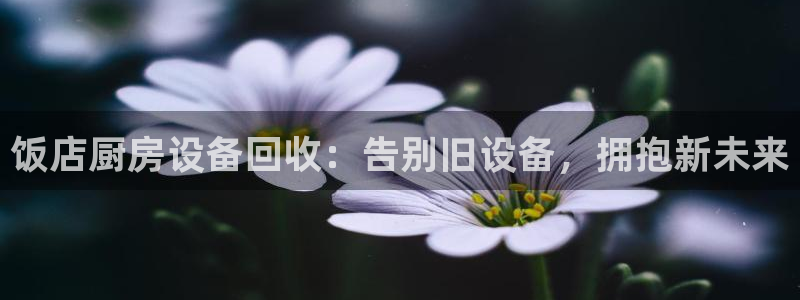 尊龙 am i blue：饭店厨房设备回收：告别旧设备，拥抱