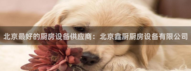 尊龙凯时有限公司：北京最好的厨房设备供应商：北京鑫厨厨房设备