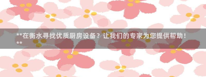 尊龙凯时ag旗舰：**在衡水寻找优质厨房设备？让我们的专家为