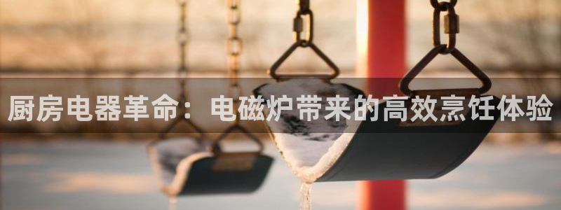 尊龙新版手机app下载：厨房电器革命：电磁炉带来的高效烹饪体