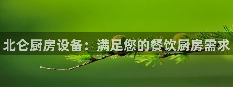 尊龙官网手机版：北仑厨房设备：满足您的餐饮厨房需求