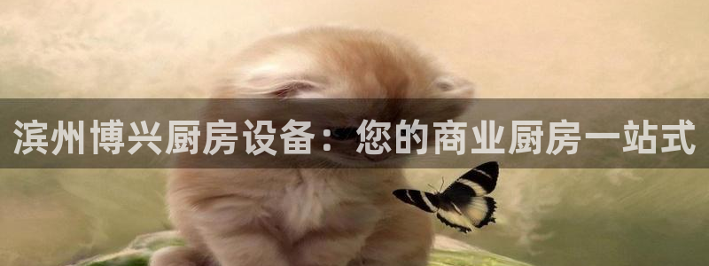 尊龙ktv怎么样：滨州博兴厨房设备：您的商业厨房一站式