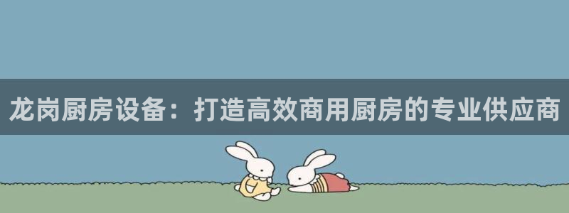 尊龙凯时公司官网：龙岗厨房设备：打造高效商用厨房的专业供应商