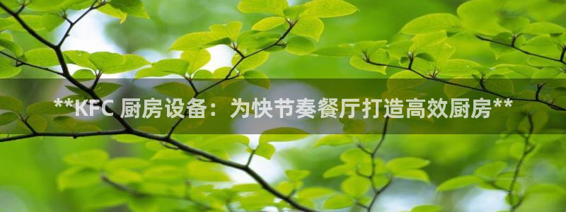 尊龙凯时代理佣金发不发：**KFC 厨房设备：为快节奏餐厅打