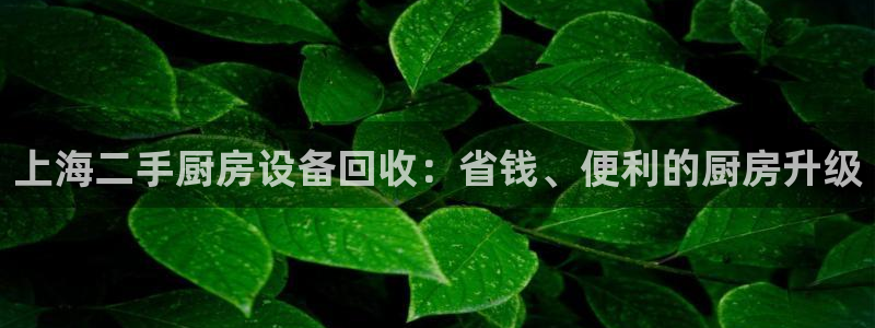 尊龙凯时官网首页：上海二手厨房设备回收：省钱、便利的厨房升级