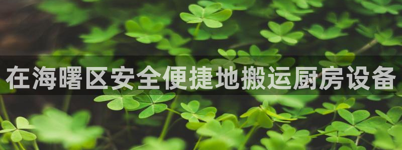 尊龙ag旗舰厅官网·(中国)官方入口：在海曙区安全便捷地搬运