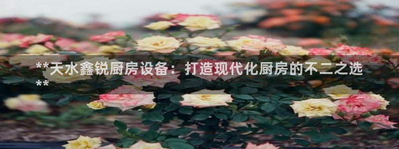 尊龙凯时台子：**天水鑫锐厨房设备：打造现代化厨房的不二之选