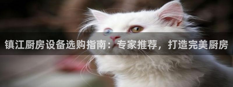 凯时尊龙平台登录：镇江厨房设备选购指南：专家推荐，打造完美厨