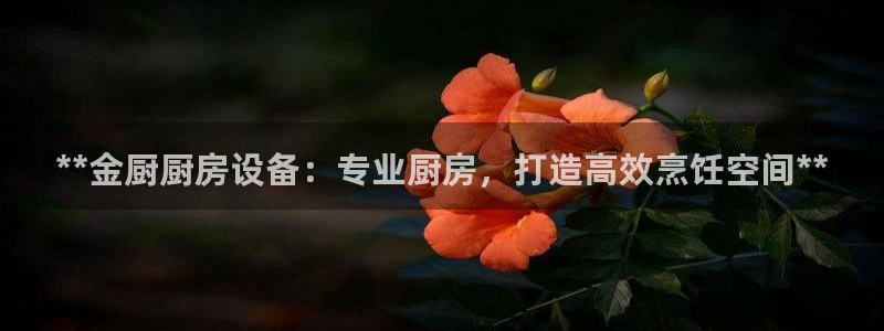 凯时尊龙官网网址：**金厨厨房设备：专业厨房，打造高效烹饪空