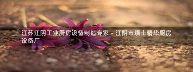 尊龙最新版：江苏江阴工业厨房设备制造专家 - 江阴市璜土精华