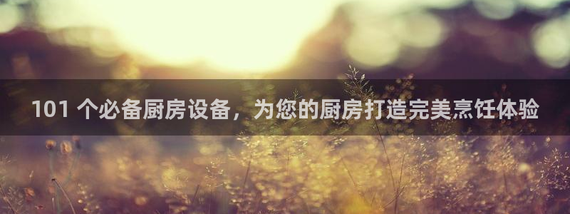 尊龙客服：101 个必备厨房设备，为您的厨房打造完美烹饪体验