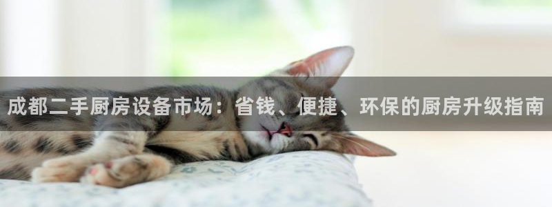尊龙官方：成都二手厨房设备市场：省钱、便捷、环保的厨房升级指