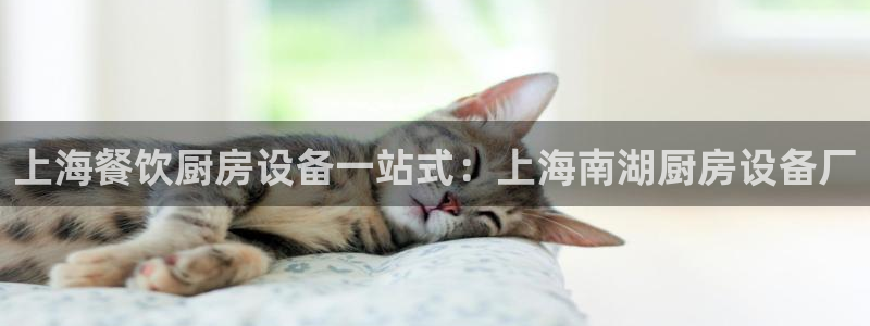 尊龙凯时人生就是博·(中国)官网最新：上海餐饮厨房设备一站式