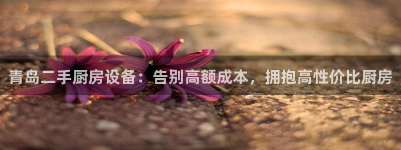 尊龙官方平台是正品吗：青岛二手厨房设备：告别高额成本，拥抱高