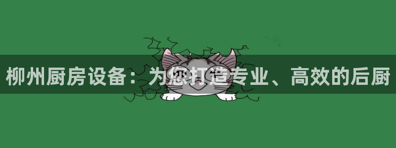 尊龙官方平台：柳州厨房设备：为您打造专业、高效的后厨