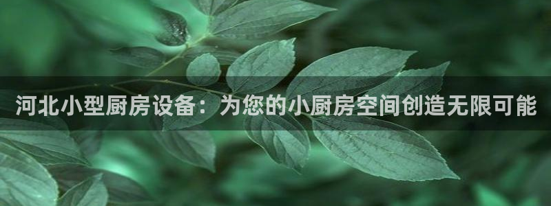 尊龙凯时人生就是博·(中
