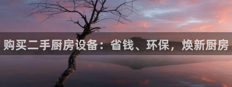 Z6尊龙官网入口：购买二手厨房设备：省钱、环保，焕新厨房