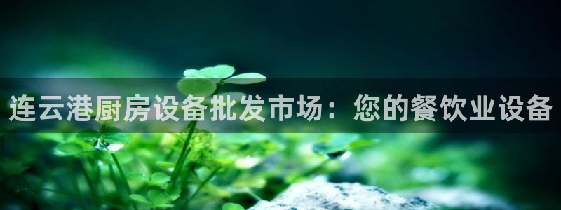 尊龙d88会员：连云港厨房设备批发市场：您的餐饮业设备