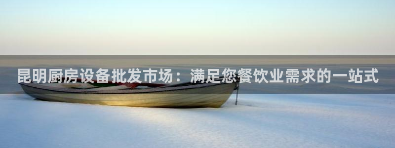 尊龙人生就是搏：昆明厨房设备批发市场：满足您餐饮业需求的一站