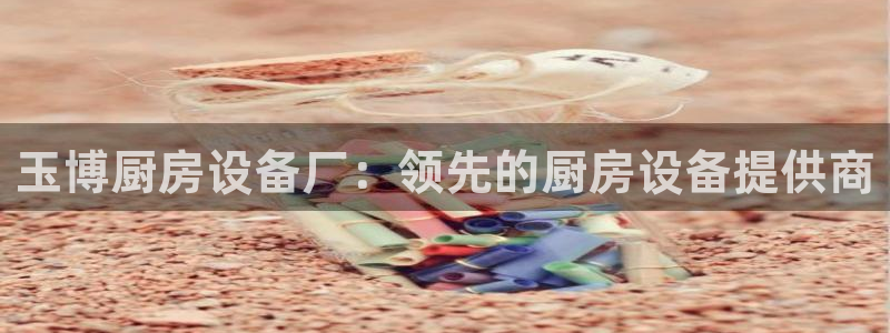 尊龙凯时是赌博嘛：玉博厨房设备厂：领先的厨房设备提供商