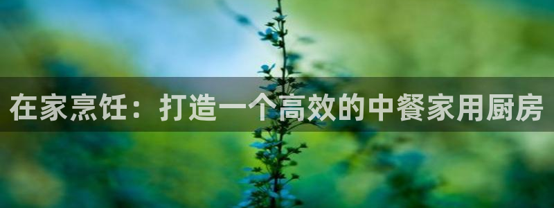 凯时国际平台有人赢吗：在家烹饪：打造一个高效的中餐家用厨房