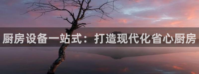 尊龙人生就是博一下下：厨房设备一站式：打造现代化省心厨房