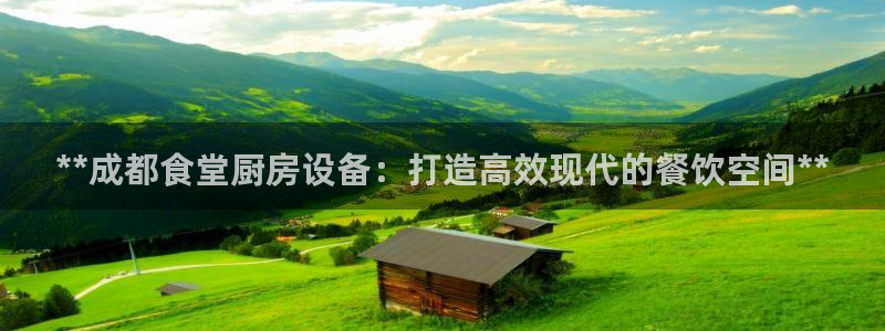 尊龙人生就是博AG旗舰厅：**成都食堂厨房设备：打造高效现代