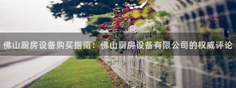尊龙凯时怎么样没听说过：佛山厨房设备购买指南：佛山厨房设备有