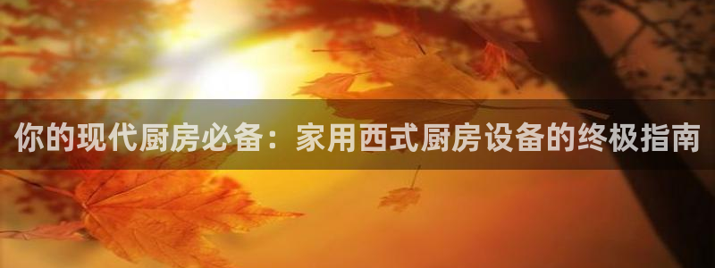 尊龙平台登录：你的现代厨房必备：家用西式厨房设备的终极指南
