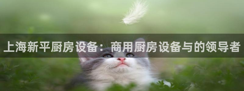 尊龙人生就是博一下首页：上海新平厨房设备：商用厨房设备与的领