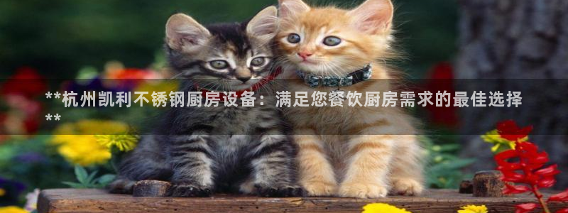 尊龙凯时人生就是搏·(中国)官网：**杭州凯利不锈钢厨房设备