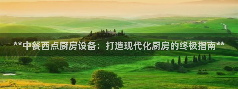 尊龙d88现金可来就送38：**中餐西点厨房设备：打造现代化