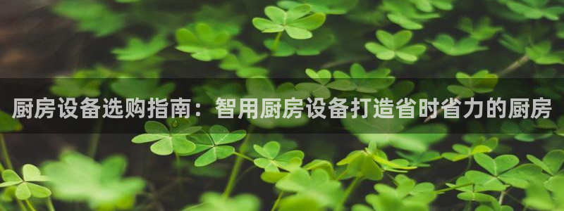 凯时旗舰厅App下载：厨房设备选购指南：智用厨房设备打造省时