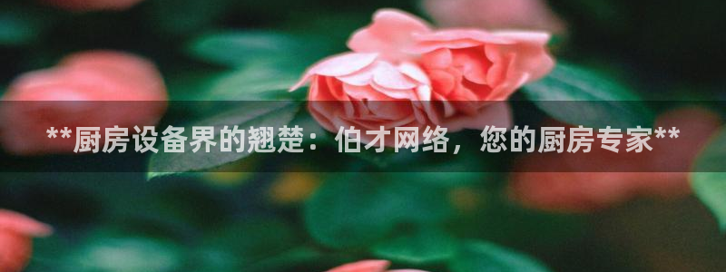 凯时官网手机版首页：**厨房设备界的翘楚：伯才网络，您的厨房
